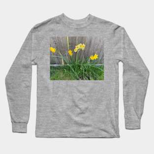 Daffodils Long Sleeve T-Shirt